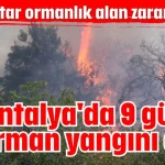 Antalya'da 9 günde 14 orman yangını çıktı