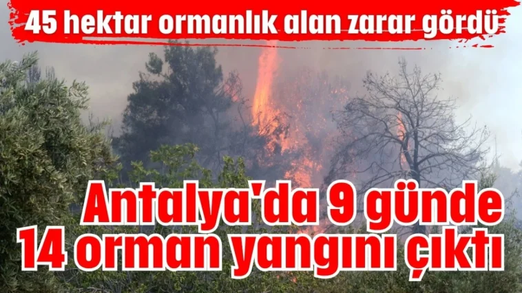 Antalya'da 9 günde 14 orman yangını çıktı