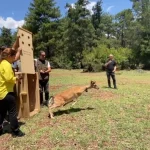 Antalya’da doğaya salınan alageyiğin hareketleri uyduyla izleniyor