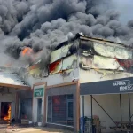 Antalya'da fide üretim merkezinde yangın