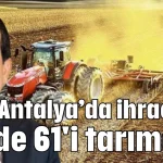 Antalya'da ihracatın yüzde 61'i tarımdan