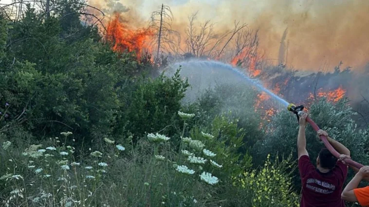 Antalya'da orman yangını kontrol altında