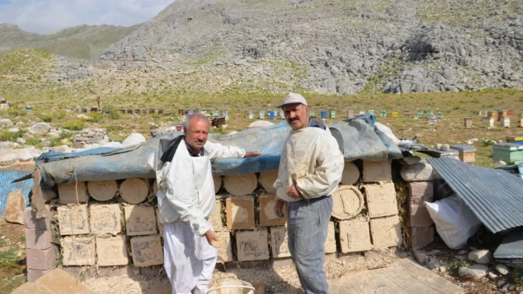 Antalya'da şimdi arıcılık zamanı