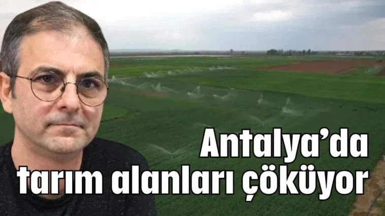 Antalya’da tarım alanları çöküyor