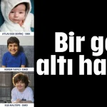 Bir gece altı hayat