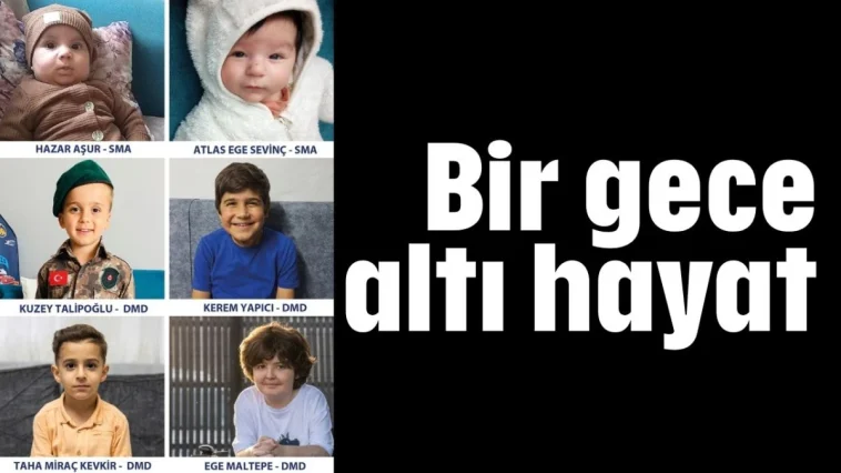 Bir gece altı hayat