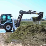 Boğaçayı'nda her gün 6 ile 8 ton arası sucul ot toplanıyor