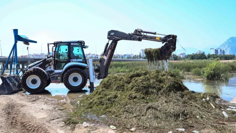 Boğaçayı'nda her gün 6 ile 8 ton arası sucul ot toplanıyor