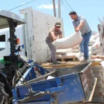 Büyükşehir’den çiftçilere gübre desteği