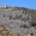 Gazipaşa'daki yangında 25 hektar orman zarar gördü