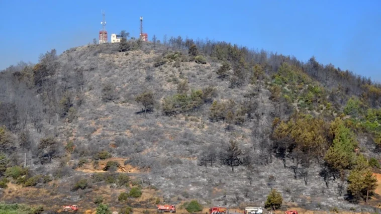 Gazipaşa'daki yangında 25 hektar orman zarar gördü