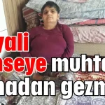 Hayali kimseye muhtaç olmadan gezmek