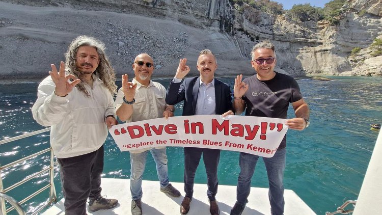 image_750x_683ea10ad6351-1