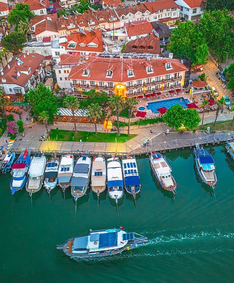 image_750x_6841887505dec-1