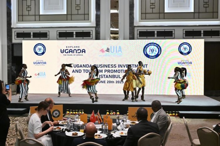 image_750x_685665a456939-1