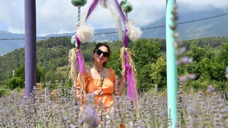 Kemer’de lavanta tanıtım etkinlikleri başlıyor