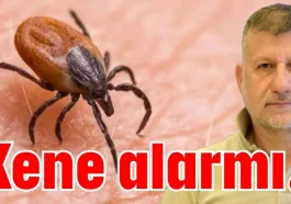 Kene alarmı!