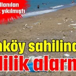 Kumköy sahilinde kirlilik alarmı!