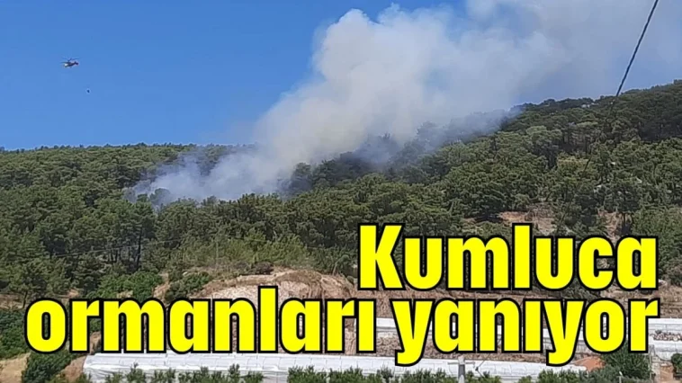 Kumluca ormanları yanıyor
