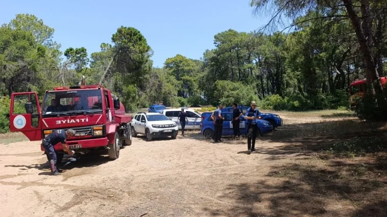 Manavgat'ta çalılık yangını büyümeden söndürüldü