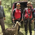 Manavgat'ta mağarada mahsur kalan keçi kurtarıldı