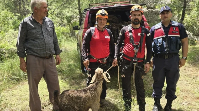 Manavgat'ta mağarada mahsur kalan keçi kurtarıldı