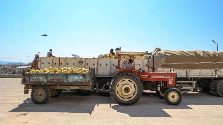Manavgat'ta üretici ile tüccar aynı çatıda buluştu