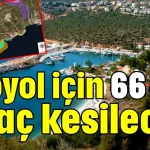 Otoyol için 66 bin ağaç kesilecek