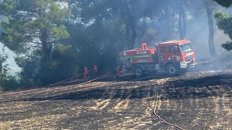 Serik'te ormanlık alanda yangın çıktı