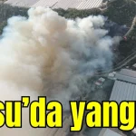 Son Dakika... Antalya Aksu'da yangın!