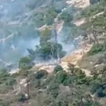 Tünektepe'de orman yangını çıktı