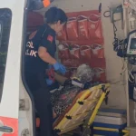 Yaya geçidinde kamyonetin çarptığı yaşlı kadın yaralandı