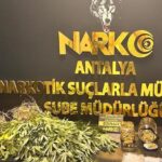 Antalyada narkotik suçlarla mücadele sürüyor