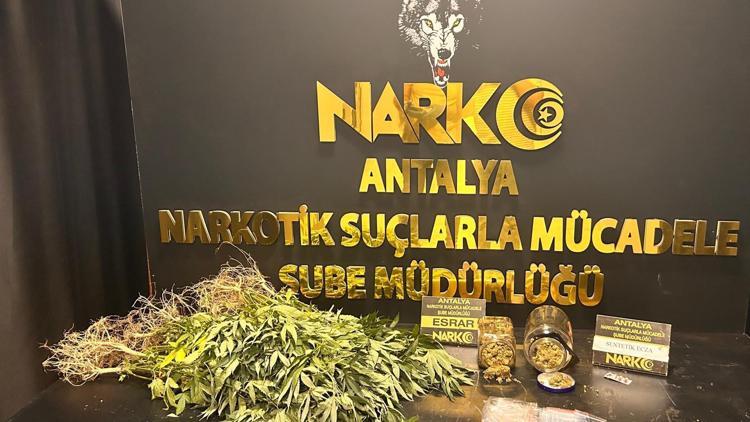 Antalyada narkotik suçlarla mücadele sürüyor