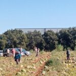 Tarladaki 120 ton karpuzunu hayrına dağıttı