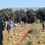 Antalyada sosyal medyadan çağrı yaptı Bedava dağıttı: Tam 120 ton...