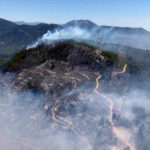 Yangın sadece ormanı değil, sağlığı da yakıyor