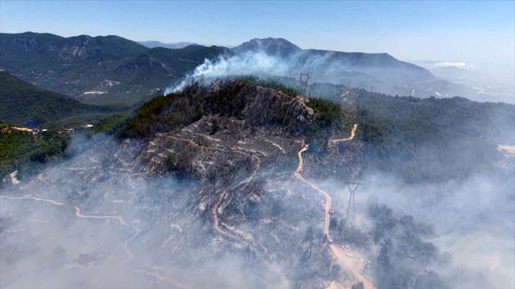 Yangın sadece ormanı değil, sağlığı da yakıyor