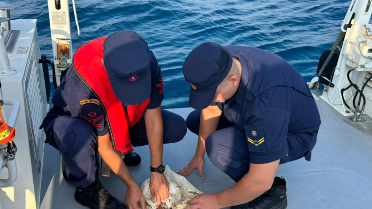 Çuvala dolanmış deniz kaplumbağasını Sahil Güvenlik kurtardı