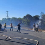 Yol kenarındaki ağaçlıkta çıkan yangın söndürüldü