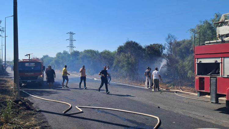 Yol kenarındaki ağaçlıkta çıkan yangın söndürüldü