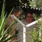 Evde sağlıksız koşullarda hayvan besleme şikayeti