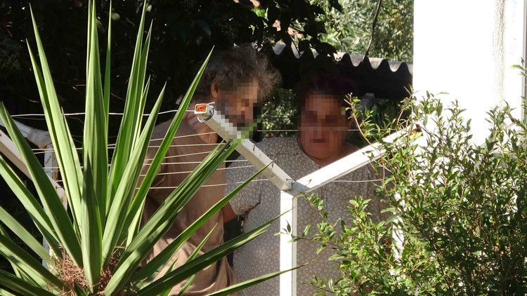 Evde sağlıksız koşullarda hayvan besleme şikayeti