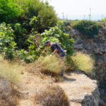 Falezlerin gelini de yangından etkilendi