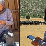 100e yakın hayvanı telef olunca teknolojiye başvurdu: İnternetten bakarak öğrendim