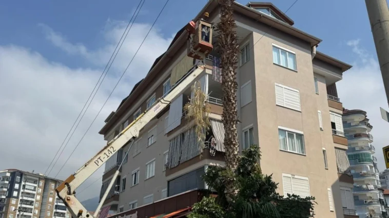 Alanya Belediyesi ve AEDAŞ'dan yangın riskine karşı önlem