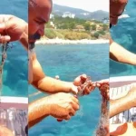 Alanya'da hayalet ağa takılan 3 yengeci vatandaşlar kurtardı