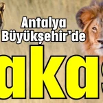Antalya Büyükşehir'de takas