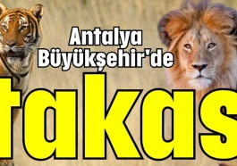 Antalya Büyükşehir'de takas