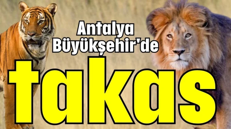 Antalya Büyükşehir'de takas